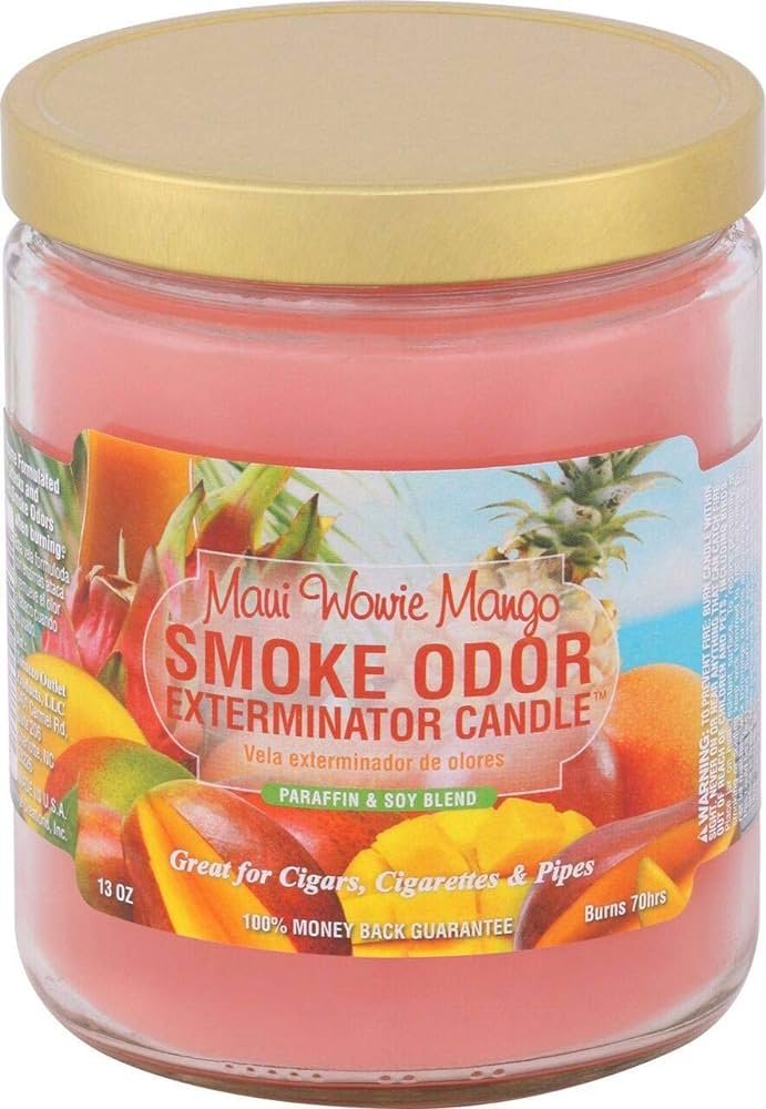 SMOKE ODOR CANDLE 13OZ JAR CANDLES ( MIX & MATCH)